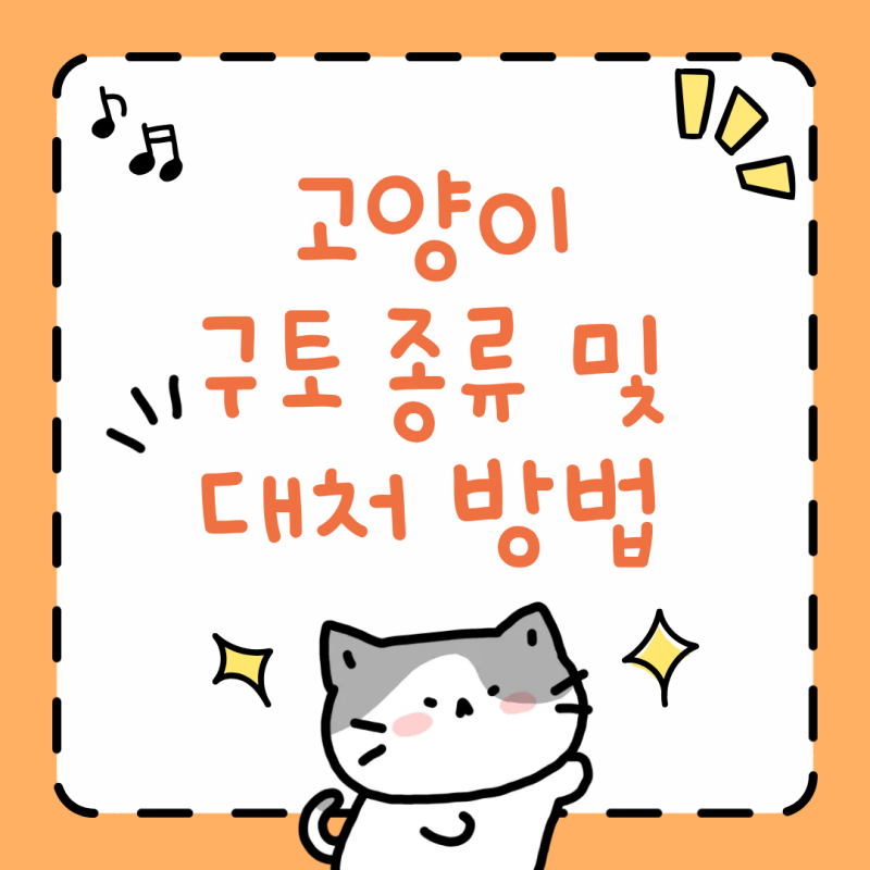 고양이 구토 종류 및 대처 방법, 노란토 사료토 원인과 위험 신호 3가지