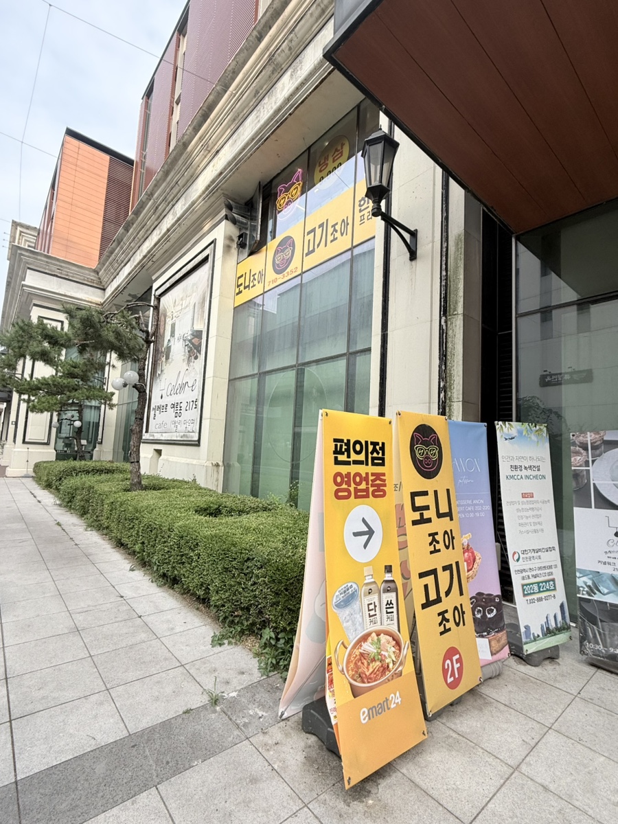 도니조아고기조아 사진 2