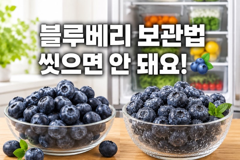 블루베리 보관법, 씻으면 안 되는 이유! 냉장·냉동 오래 먹는 꿀팁