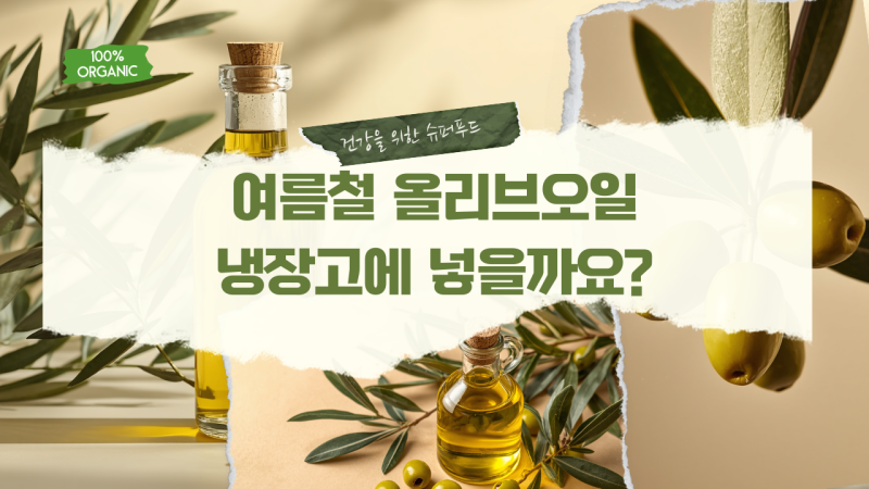 여름철 올리브오일 보관법! 냉장보관 해야할까? 지중해식 완벽 보관 꿀팁