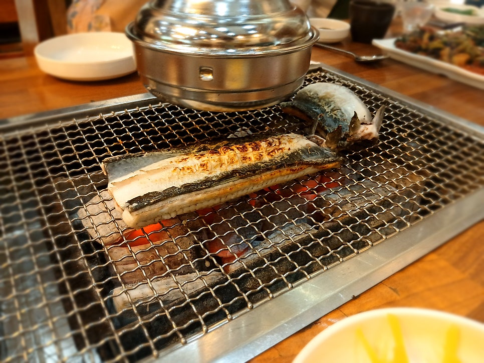 벌떡장어 사진 4