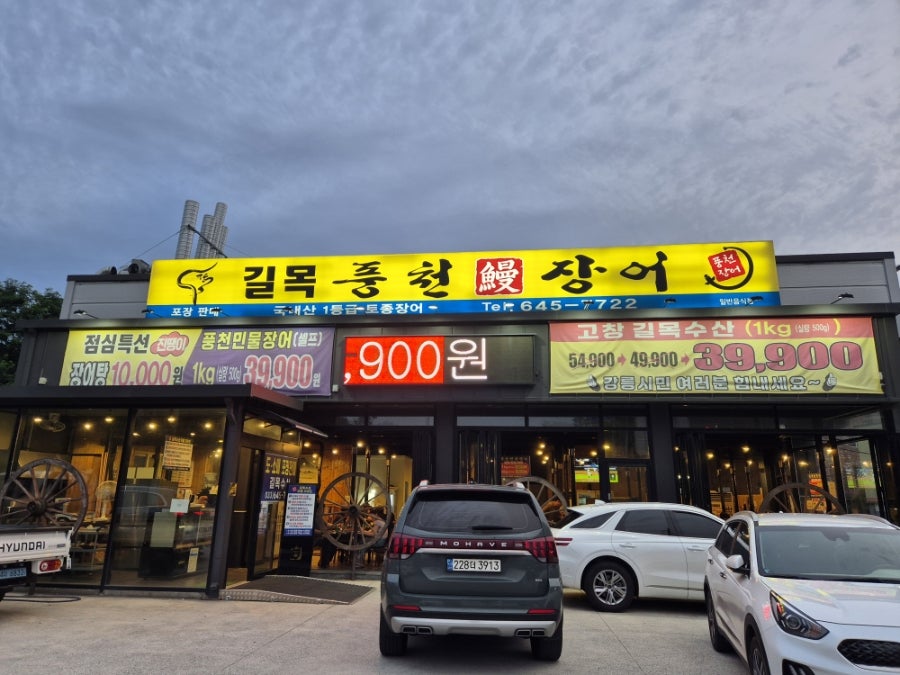 장어가 사진 1