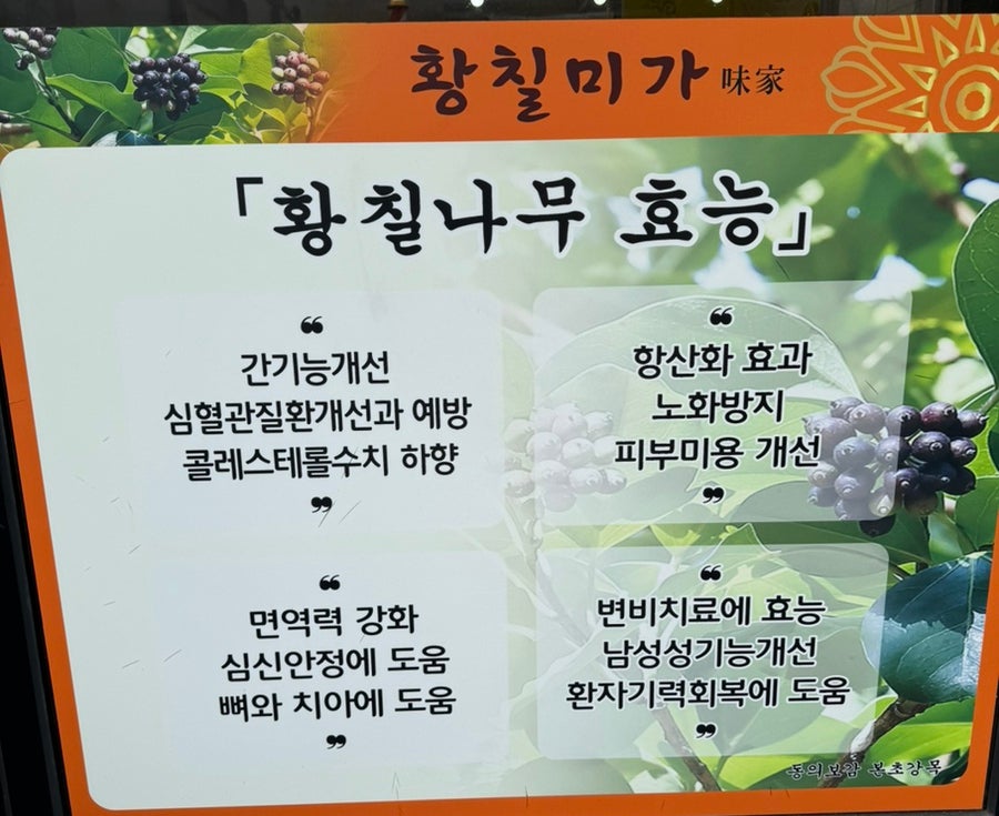 황칠미가 사진 2