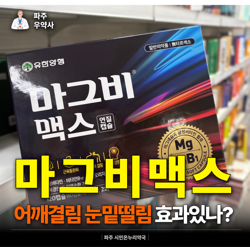 약국 마그네슘 찾는다면? 마그비맥스 성분 효과 눈밑떨림 복용법 파주
