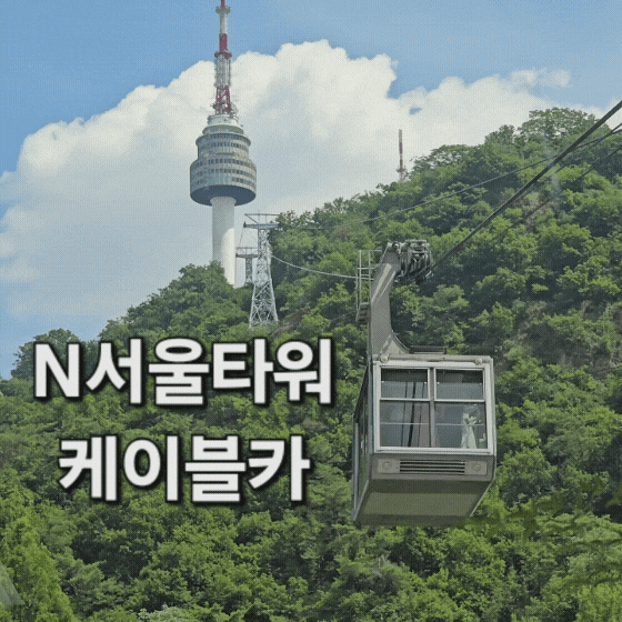N서울타워 남산케이블카 주차장 매표 탑승 후기