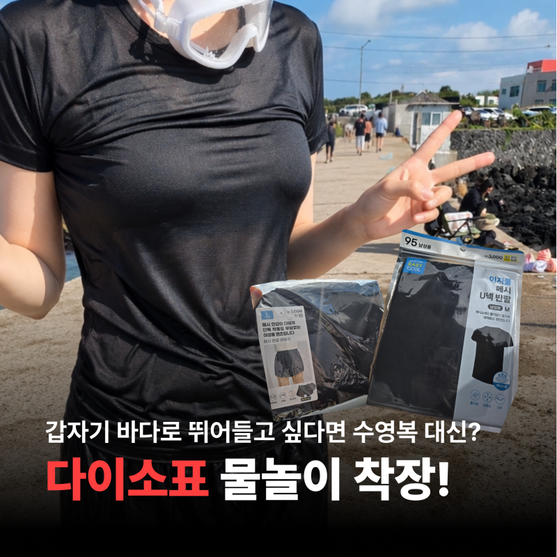 다이소 수영복 속옷? 물놀이 용품 급하게 필요할 때 추천 리스트!