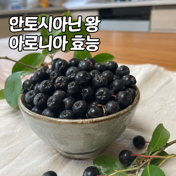 아로니아 떫은맛 싹 없애주는 황금 조합과 속쓰림 피하는 비법