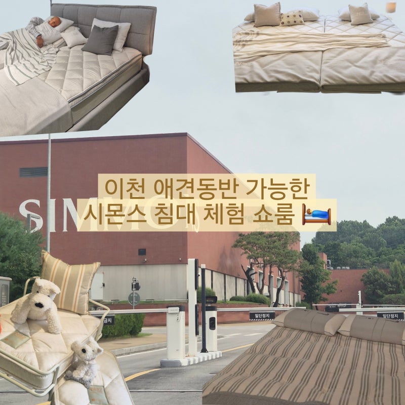 이천 시몬스 테라스｜프리미엄 시몬스 침대들을 직접 체험 할수있는 쇼룸
