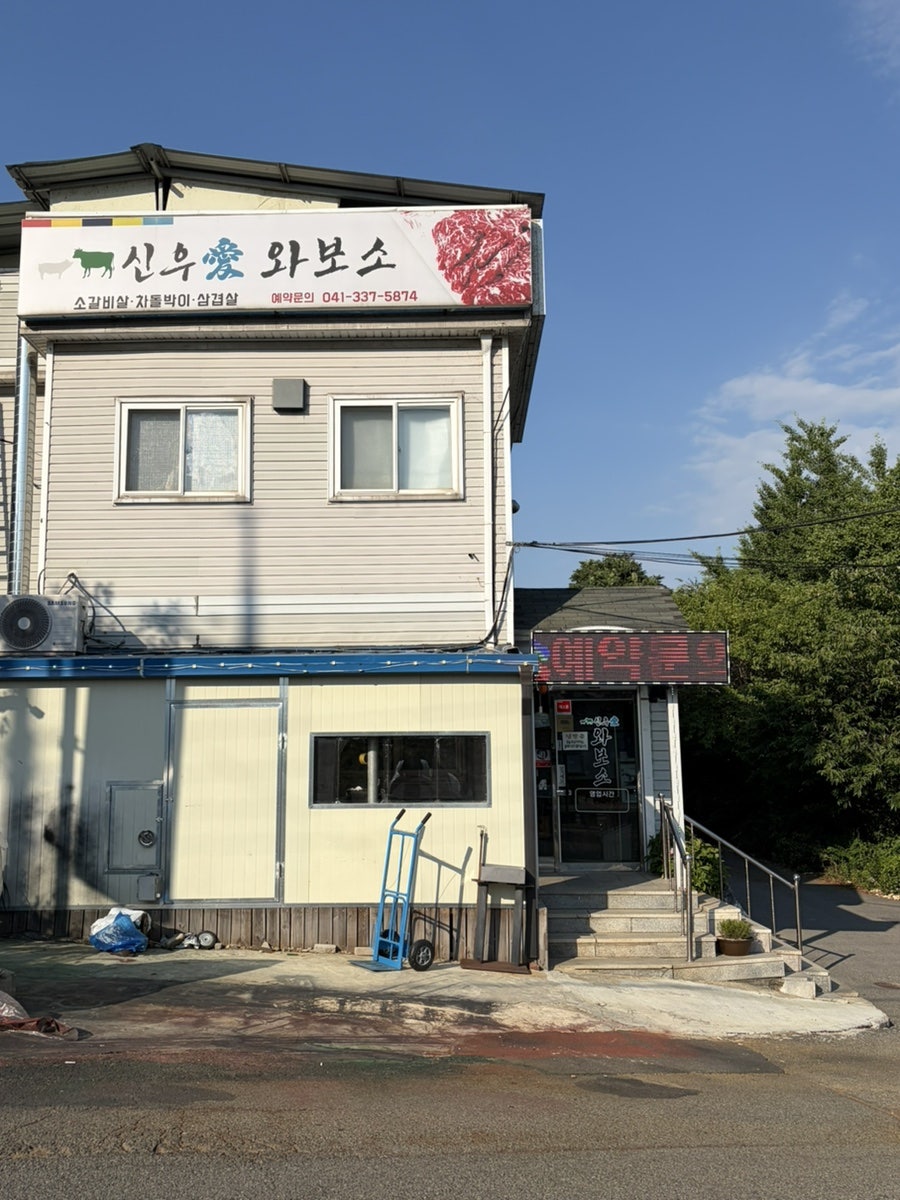 신우애와보소 사진 4