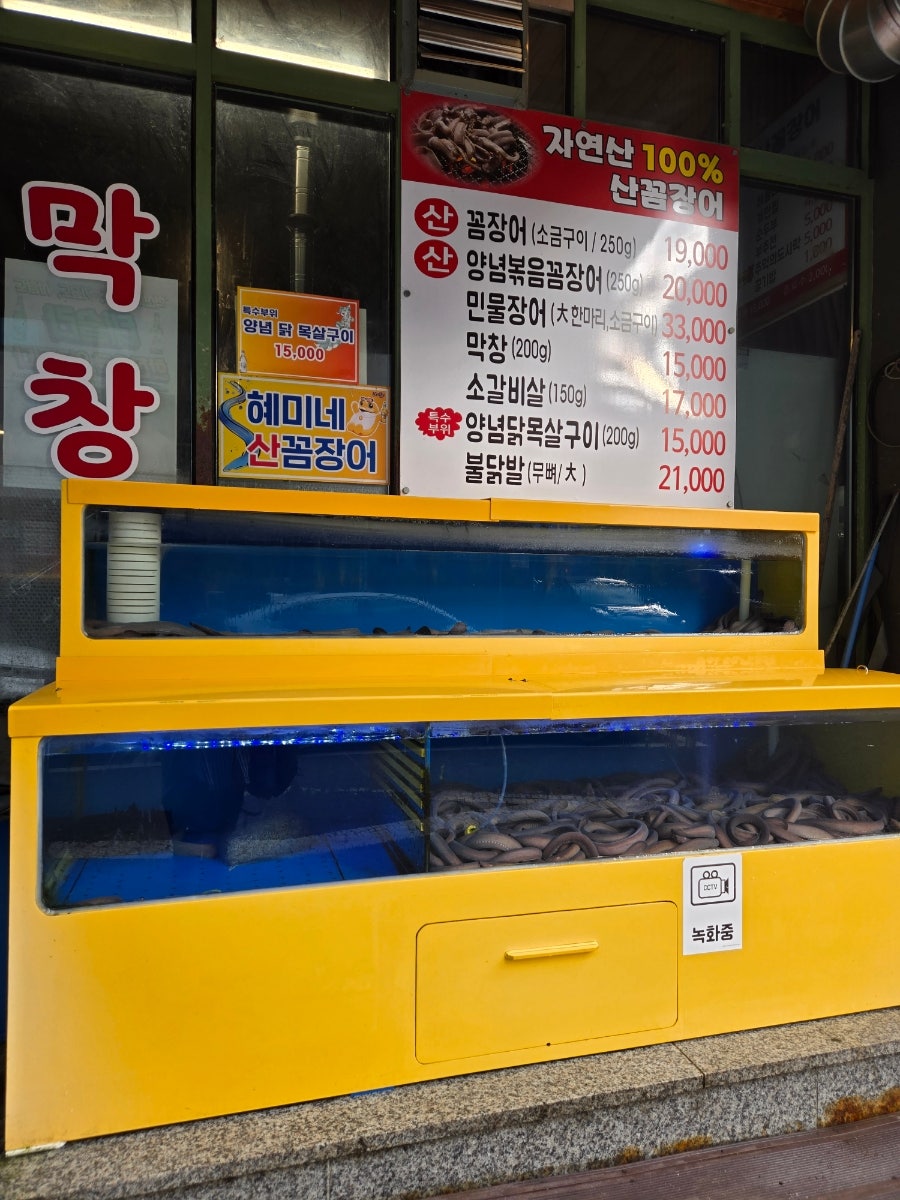 혜미네산꼼장어 사진 4