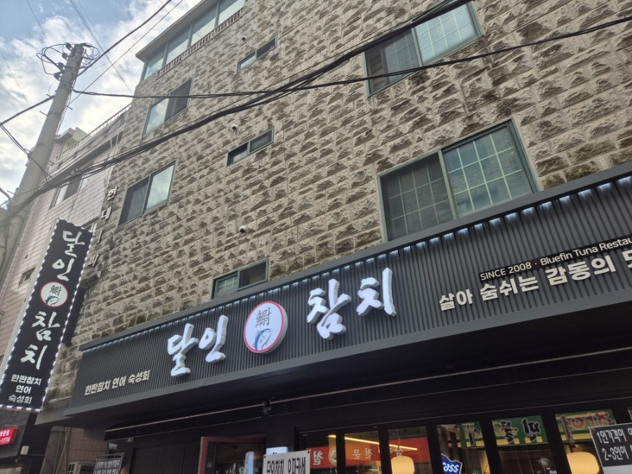 달인참치 사진 3