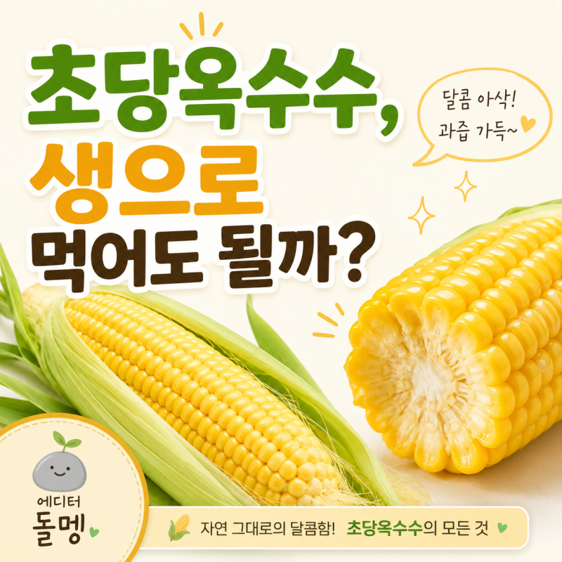 초당옥수수 생으로 먹어도 될까? 먹는법·찌는법·보관법 총정리