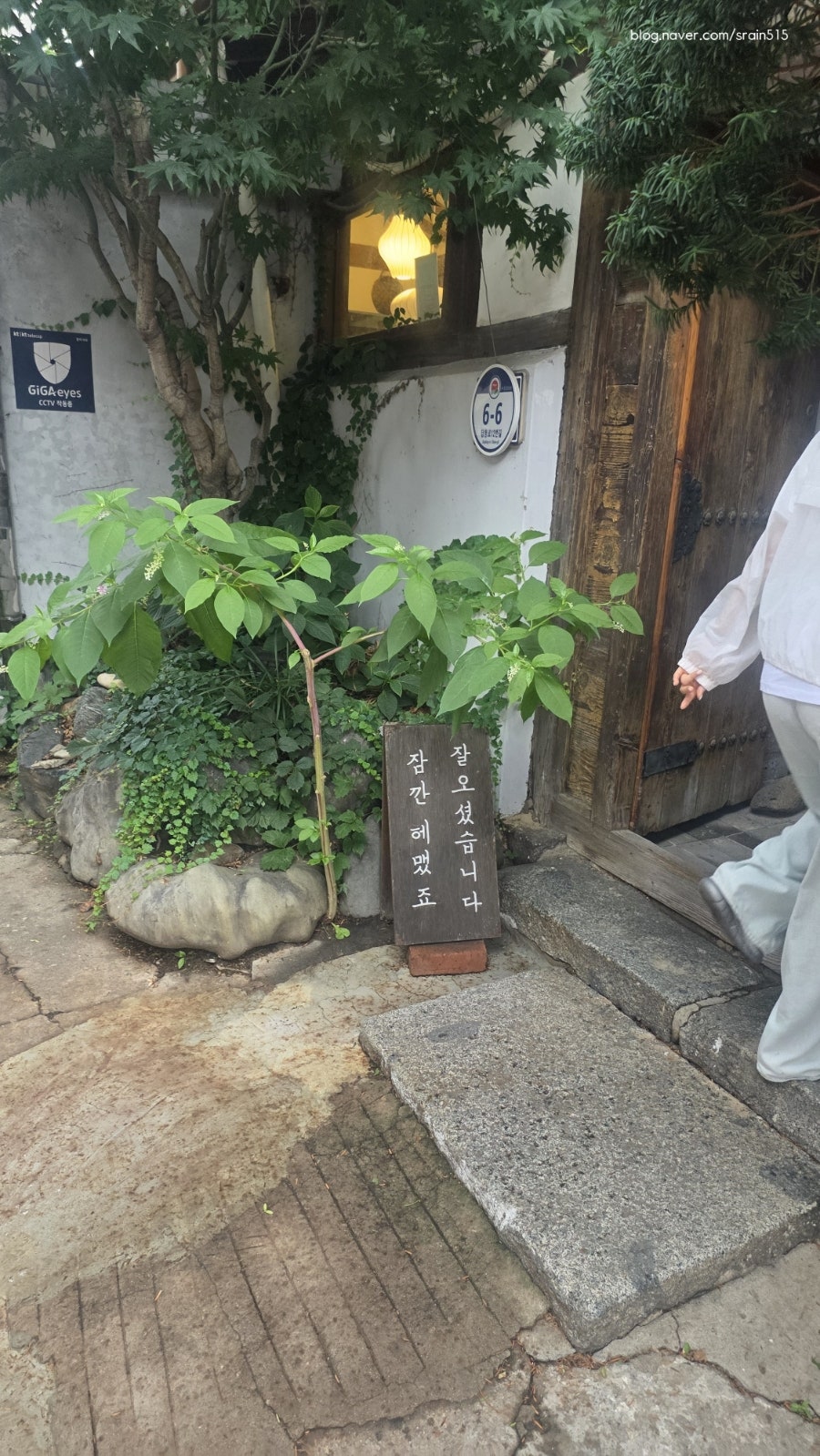 오프닝포트 사진 6