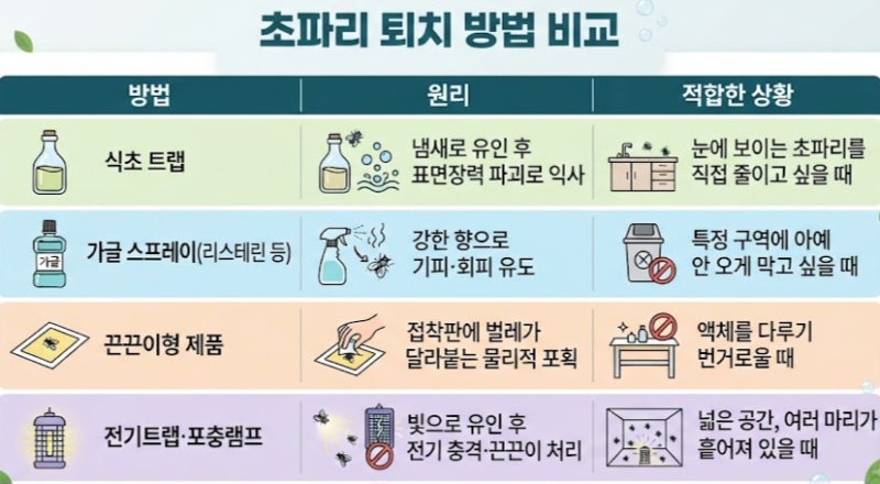 초파리 트랩 만드는 법, 식초부터 다이소 제품까지 총정리