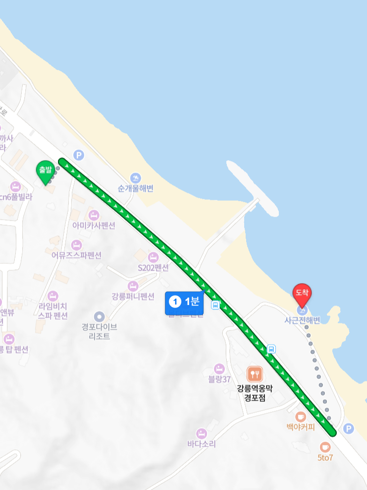 경포블루비치펜션 사진 2
