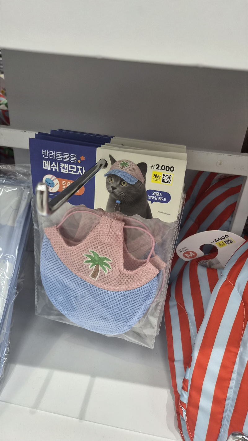 [다이소 강아지 여름용품]쿨스카프부터 구명조끼까지! 여름 필수템 추천 목록!