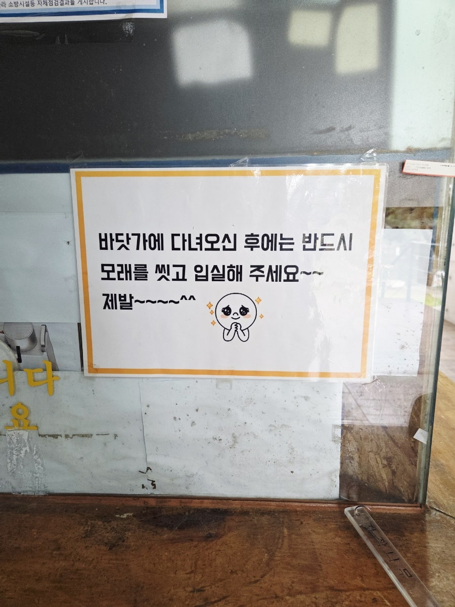 자작나무 사진 5