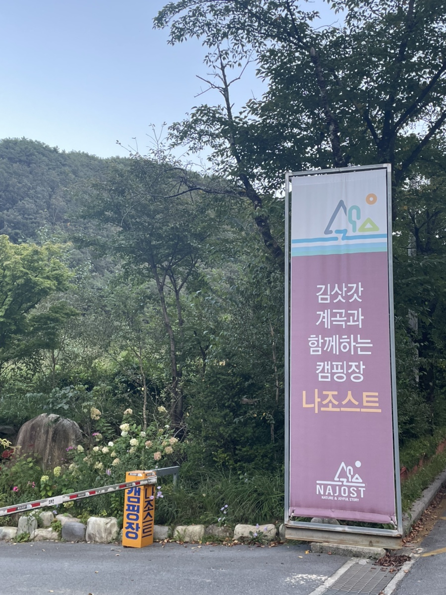 나조스트 사진 2