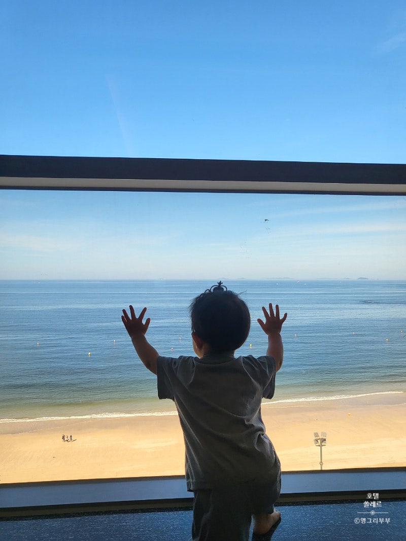 [충남 보령시] 대천 아이와 함께 가족과 함께 쏠레르호텔 숙소 추천 쏠레르호텔 쏠레르 스위....