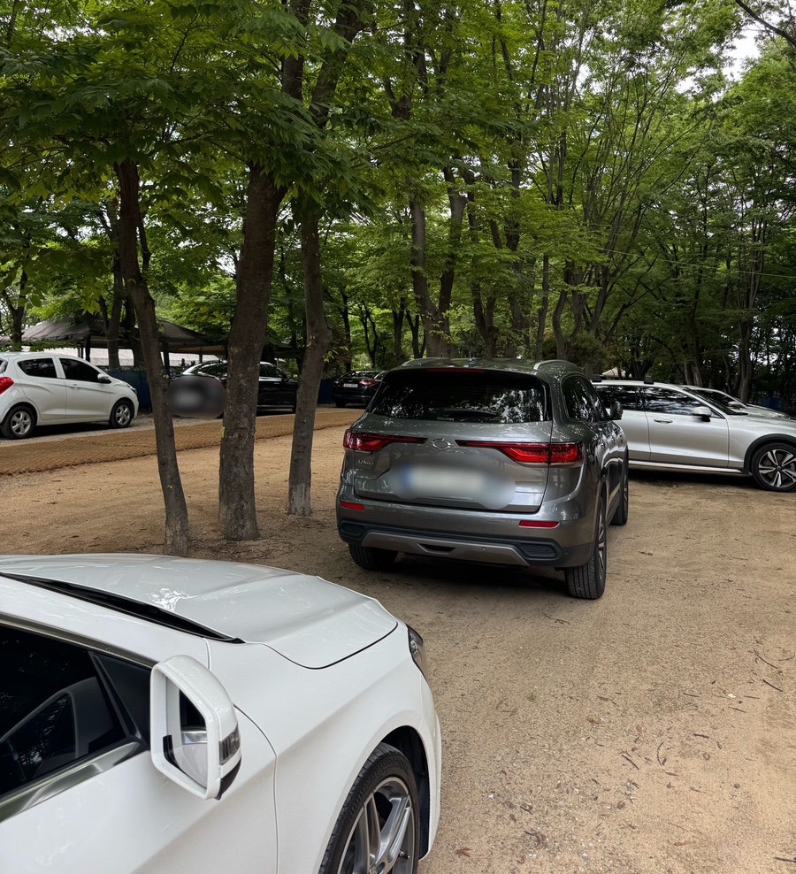 헤이더그린 사진 2