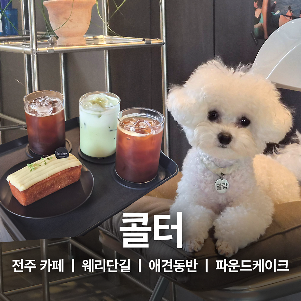 콜터 사진 1