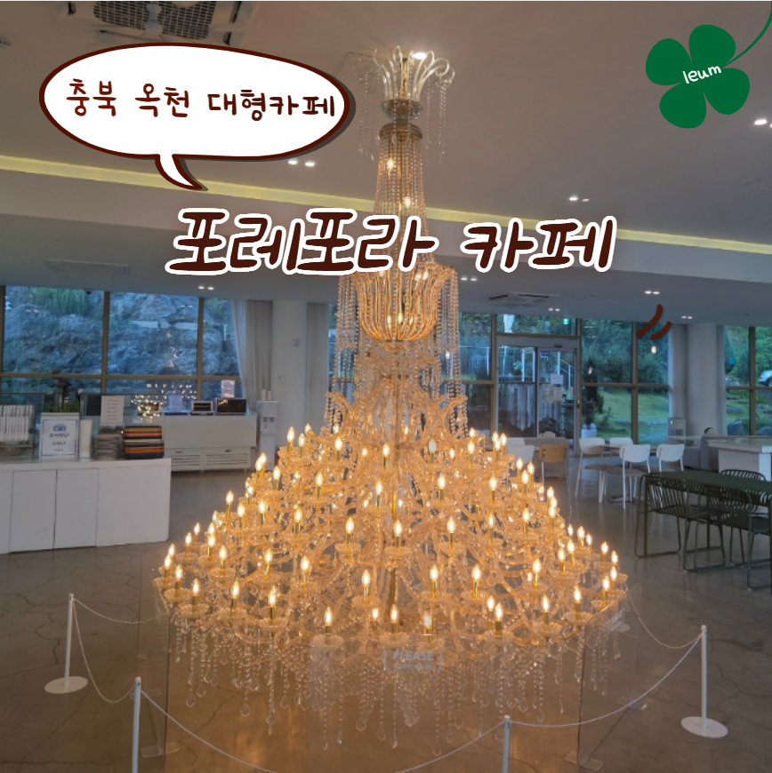 포레포라 사진 1