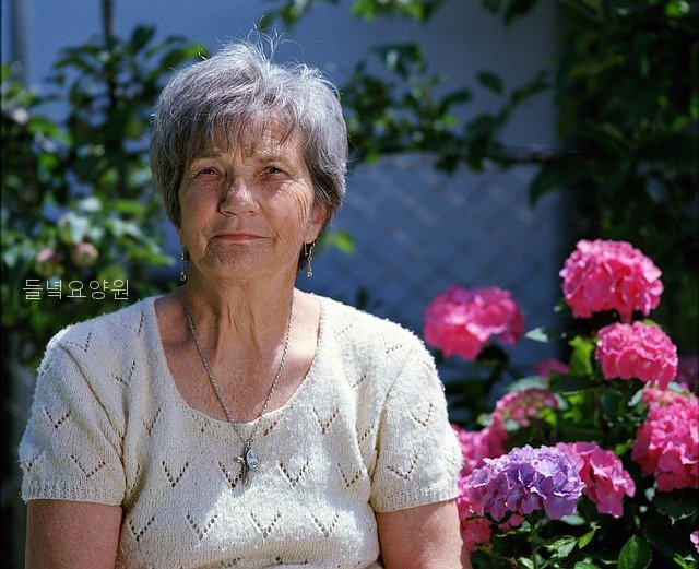 들녘요양원 사진 2