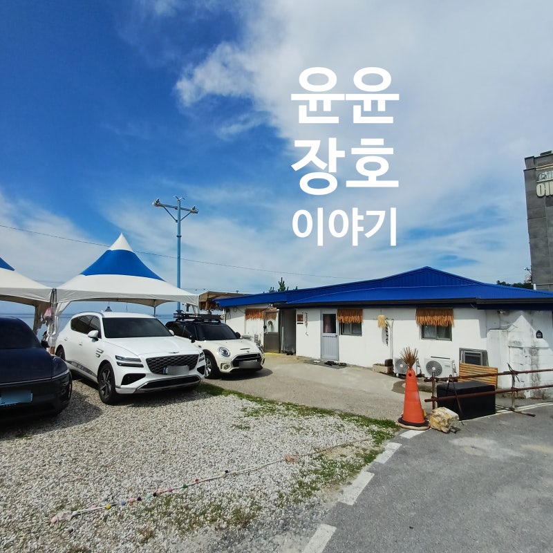 삼척 장호항 바다민박 '윤윤장호' 문을 열면 바로 스노클링 가능한 감성 숙소