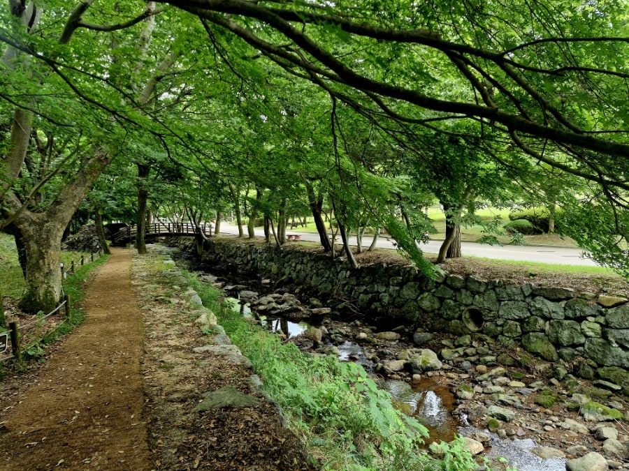 불갑산 사진 4