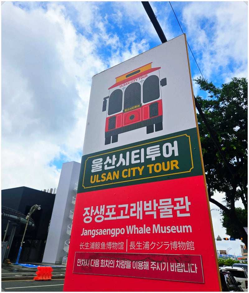 울산 시티투어버스 이용방법 총정리 장생포 고래박물관 정류장 정보