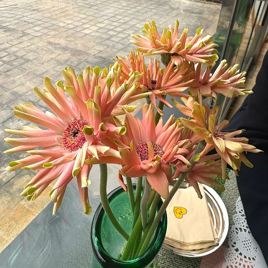 로즐린가든 사진 4