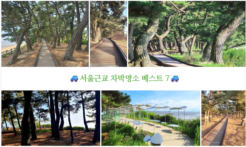 서울근교 차박명소 베스트 7 은하수 쏟아지는 노지 감성과 프라이빗한 스텔스 차크닉 숨은 ....