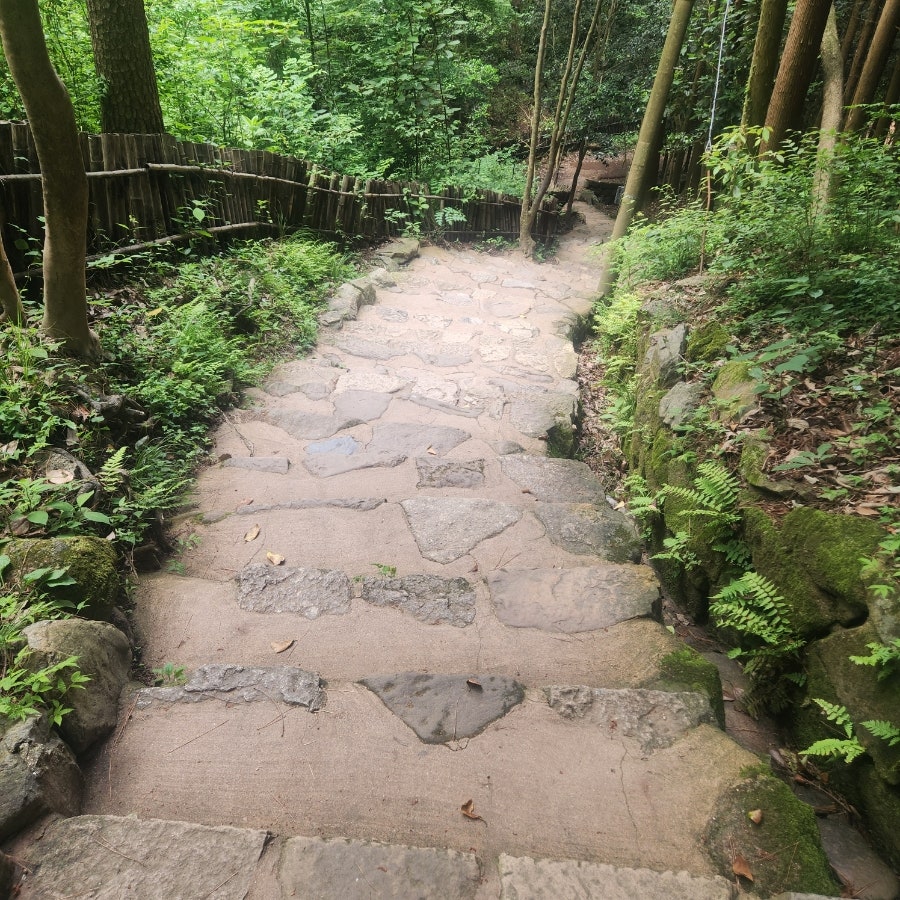 대통령밥상 사진 6