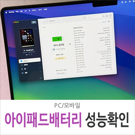 아이패드 배터리 성능 상태 확인 방법, iMazing 프로그램 최대 효율 체크