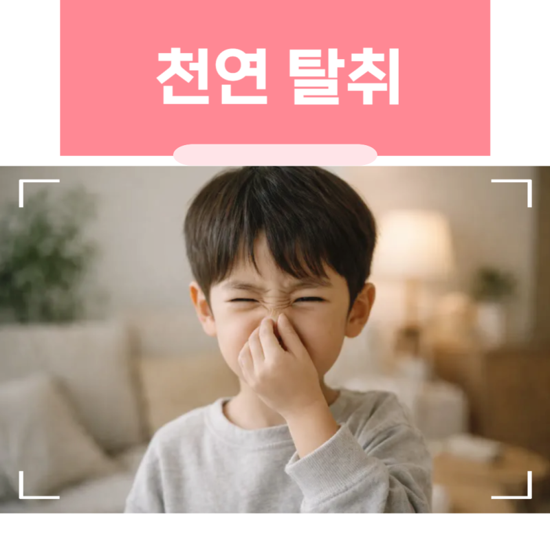 환기해도 안 빠지는 집안 냄새, 탈취제보다 효과적인 천연 제거법