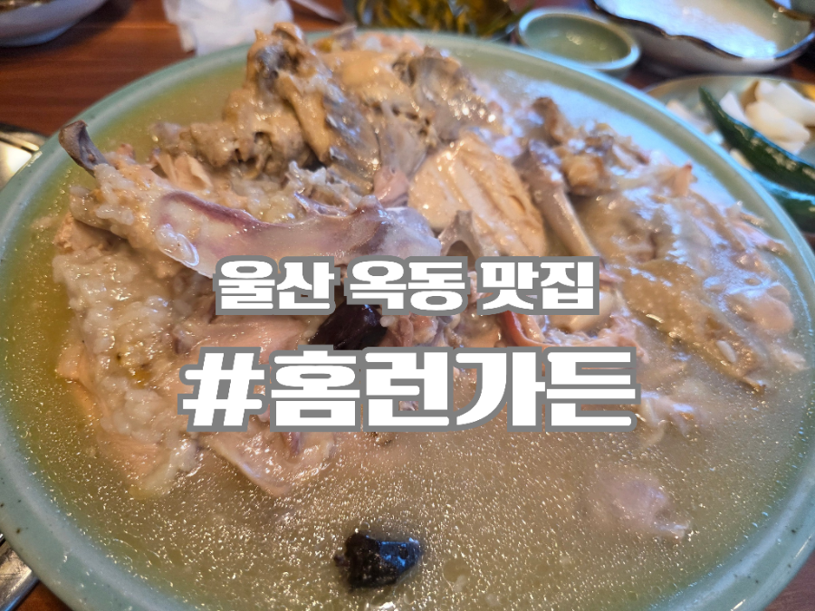 홈런가든 옥동직영점 사진 1