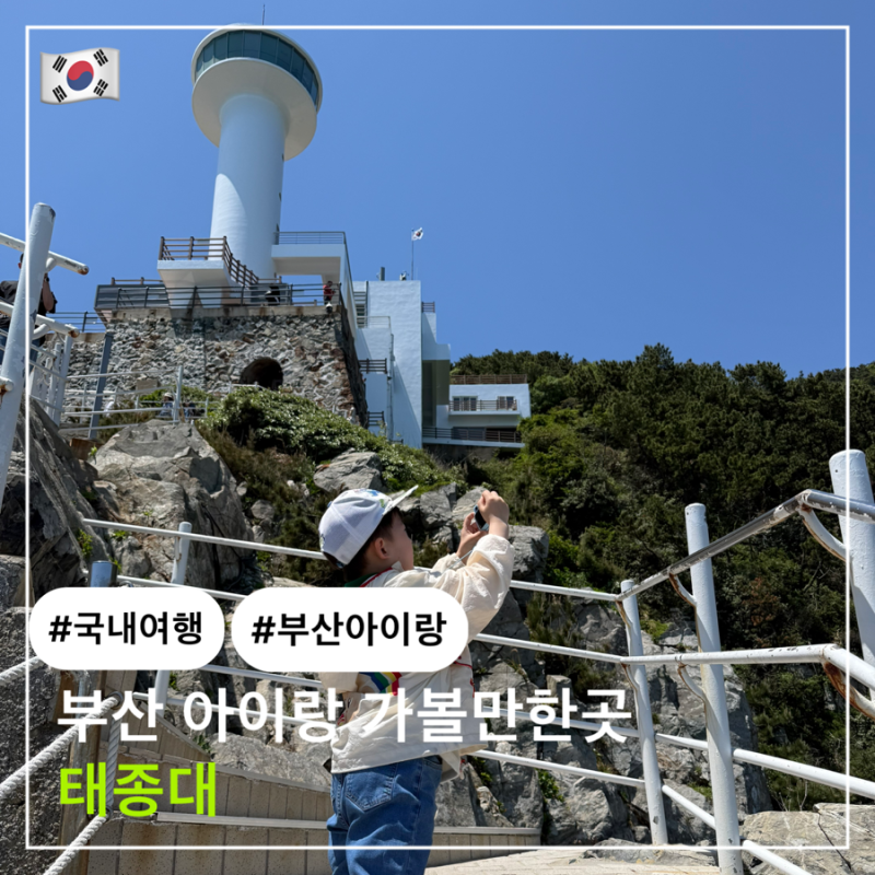 부산 아이랑 가볼만한곳 태종대 || 다누비열차 가격 주차정보