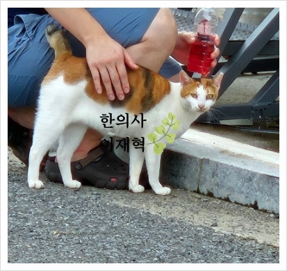 여름 감기 원인 몸살 열 기침 증상 빨리 낫는법