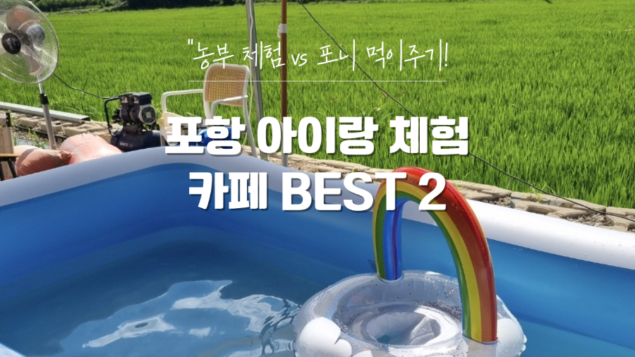 디포니 사진 1