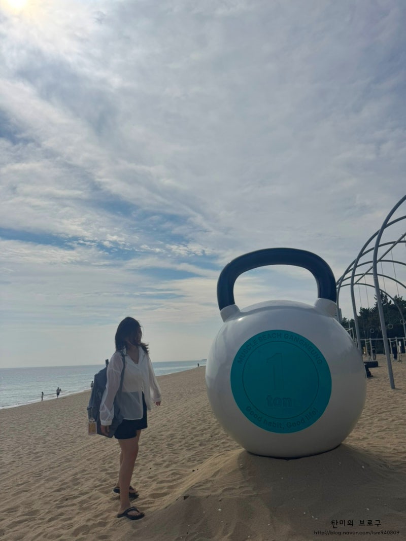 강릉 머슬비치 위치, 주차, 포토존까지! 직접 다녀온 방문후기