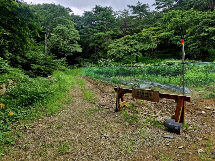 불갑산 사진 5