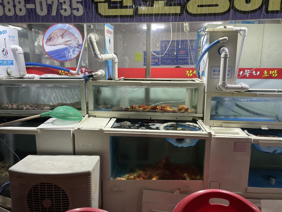 김선장횟집 사진 4