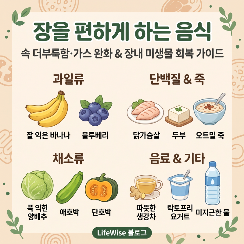 장을 편하게 하는 음식 총정리: 배에 가스 차고 더부룩할 때 속 편한 저포드맵 식단 가이드