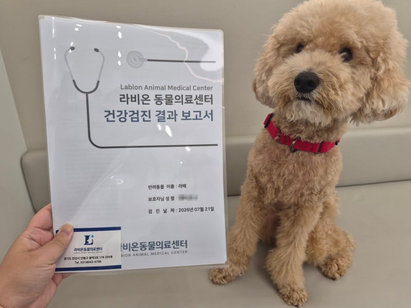 안산강아지건강검진 고잔동동물병원 추천 라비온동물의료센터