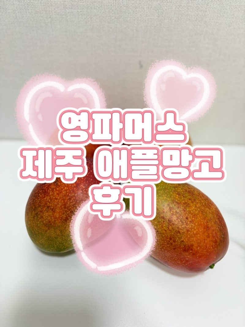 망고선물세트 프리미엄과일 과일 선물세트 추천ㅣ영파머스 제주애플망고 후기