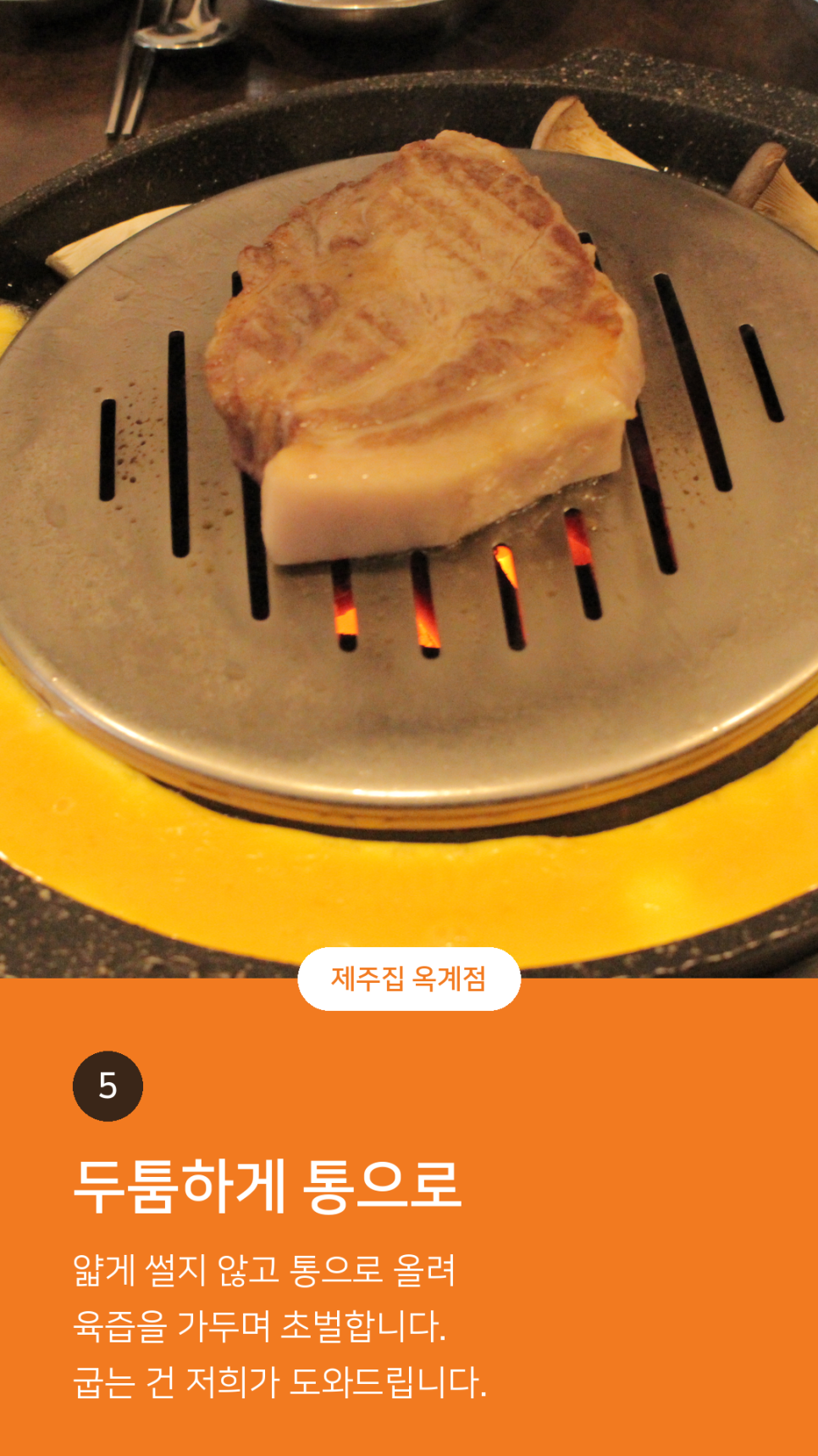제주집 사진 5