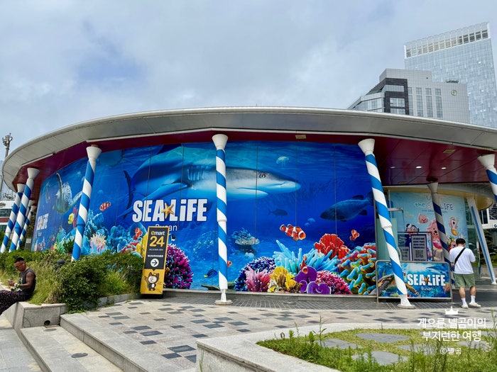 [부산/해운대] 씨라이프 부산(SEA LIFE Busan) 아쿠아리움