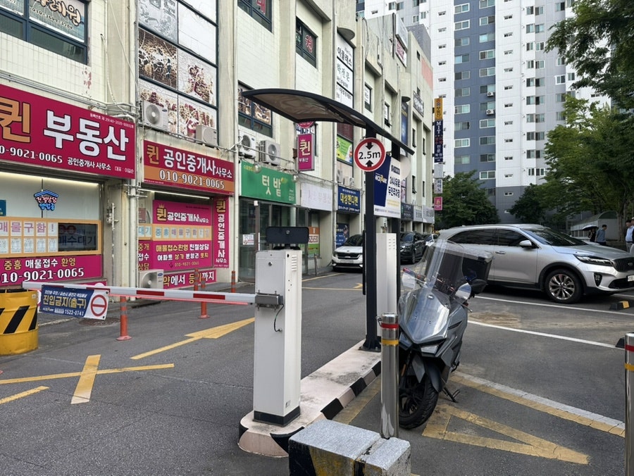 동이네막걸리 사진 2