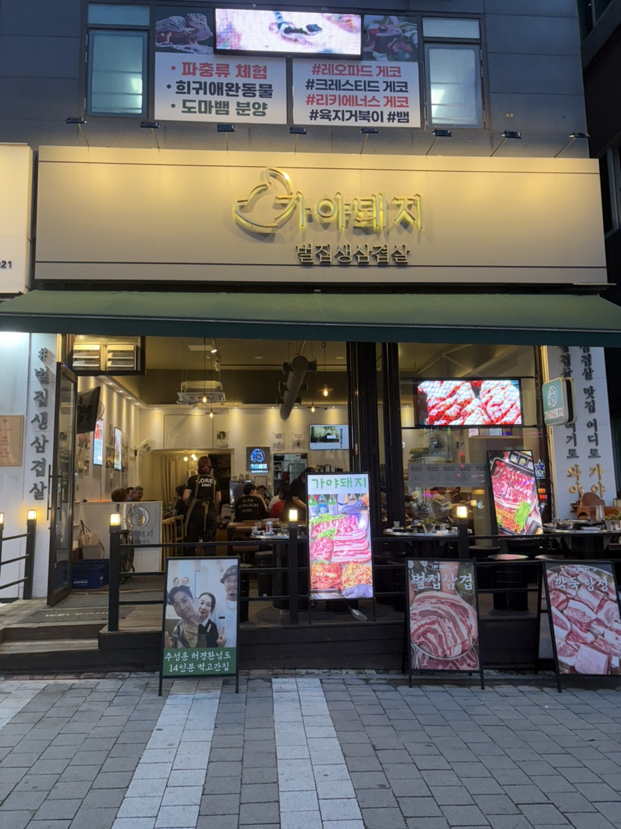 가야돼지 사진 1