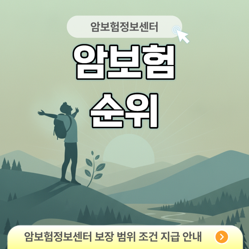 암보험 순위 착시 피하고 가성비 비갱신형 선별하는 법